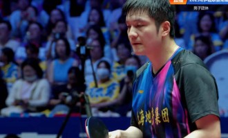 樊振东12连胜，无人能敌！德甲前一战不败，王楚钦非对手
